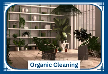 Organbic Cleaning
