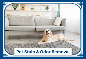 Pet Stain and Odor Removal
